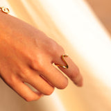 Anillo Órbita