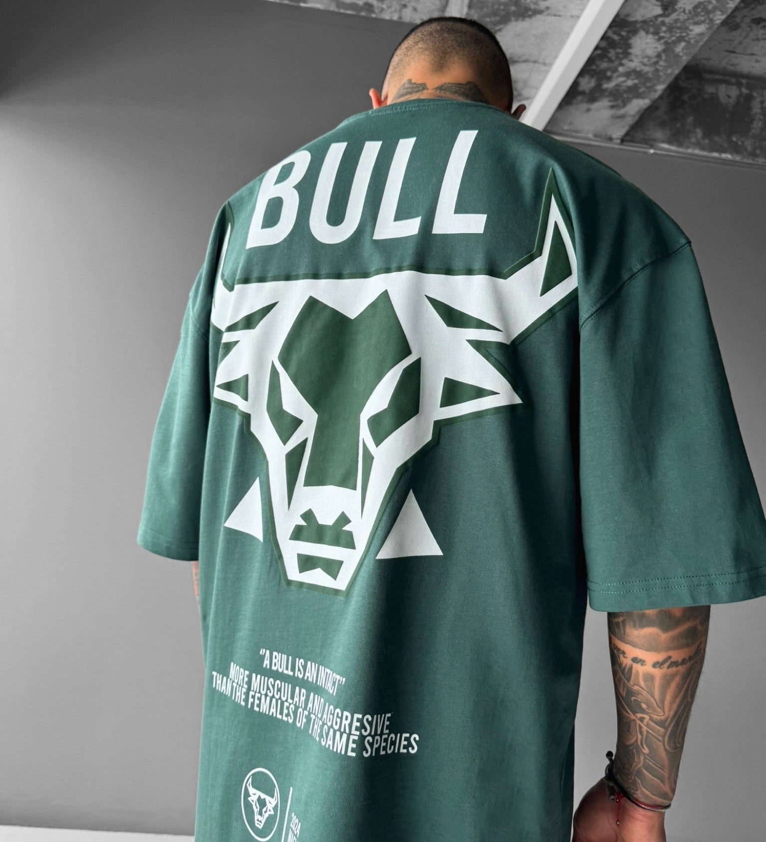 Camiseta oversize Bull – Petróleo