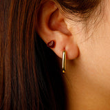 Pendientes Curva Premium