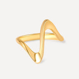 Anillo Órbita