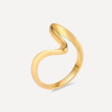 Anillo Órbita