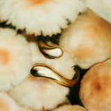 Anillo Lujo Sutil