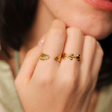 Anillo Alas Naturales