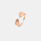 Anillo Alas Naturales