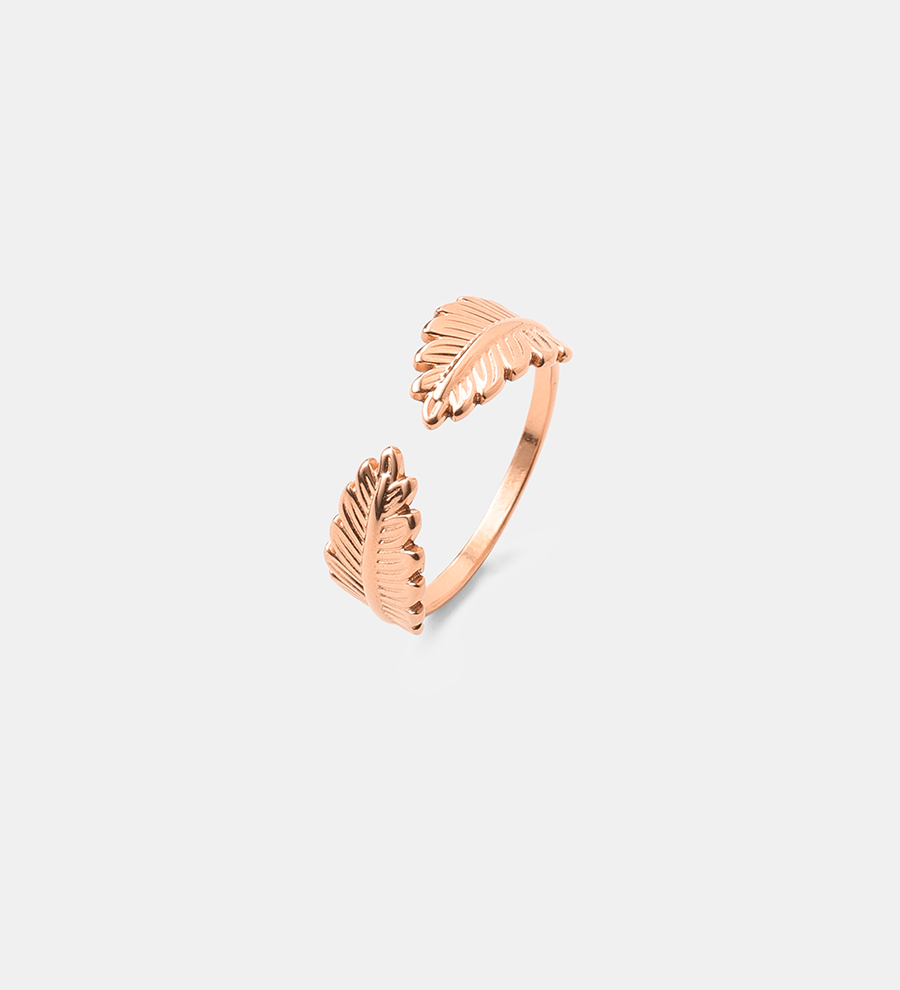 Anillo Alas Naturales