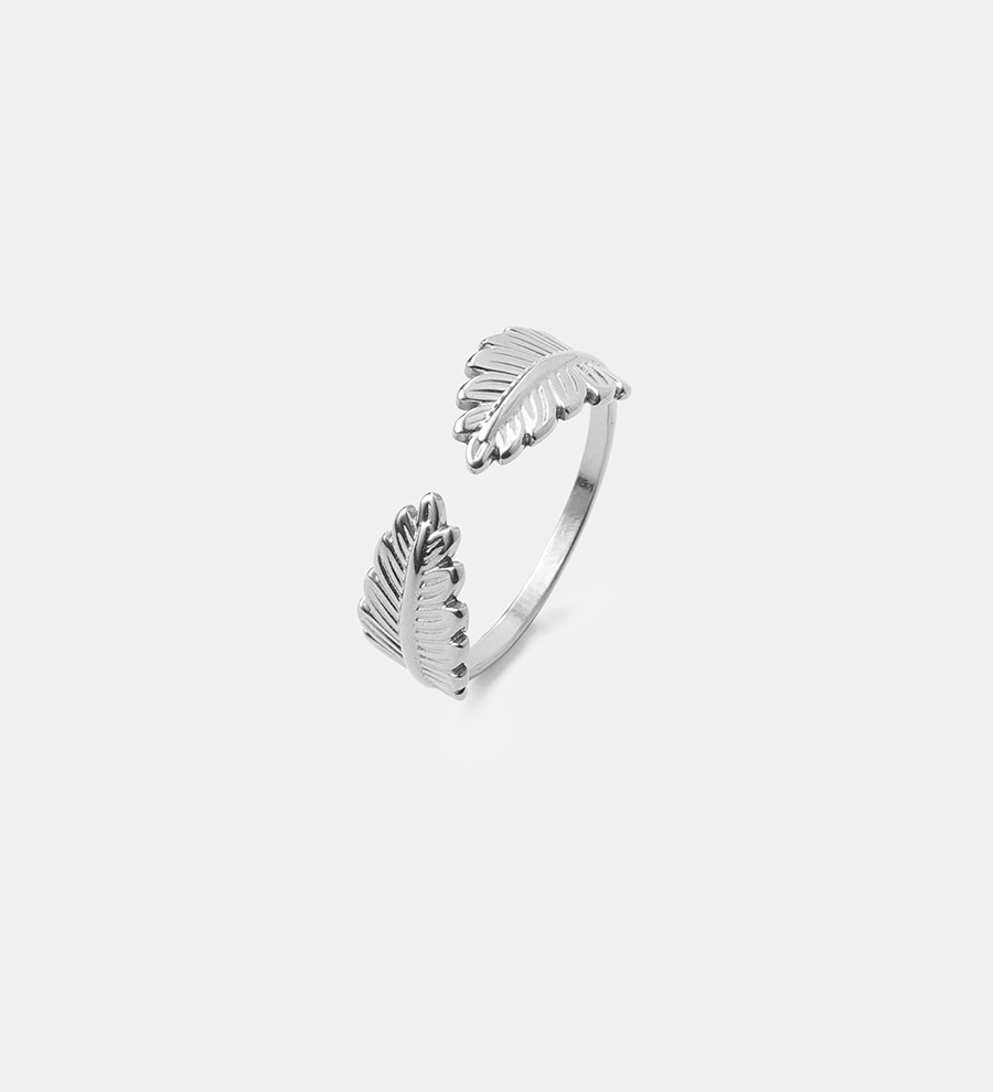 Anillo Alas Naturales