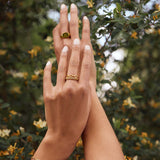 Anillo Línea Audaz